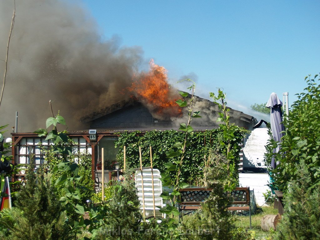 Gartenlaube in Vollbrand Koeln Poll Im Gremberger Waeldchen P076.JPG